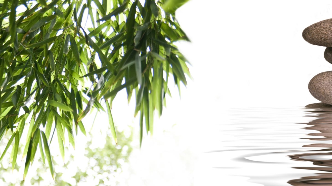 Mentoring & Wellbeing